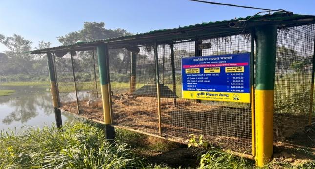 C:\Users\amitp\Downloads\attachments (1)\IMG-4708-compressed.JPG