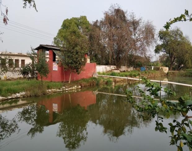 G:\kvk pictures\IFS system\IFS KVK PICS 19-20\IMG_20200226_170118.jpg