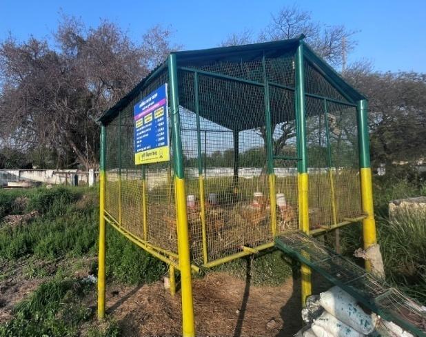 E:\kvk pictures\poultry\IMG-4770.jpg